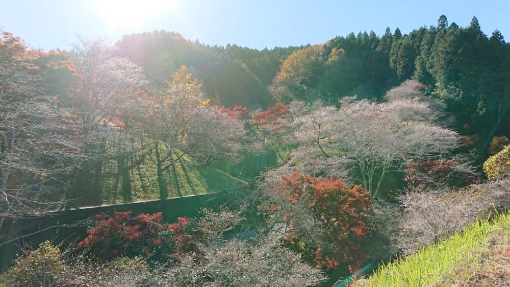 小原ふれあい公園