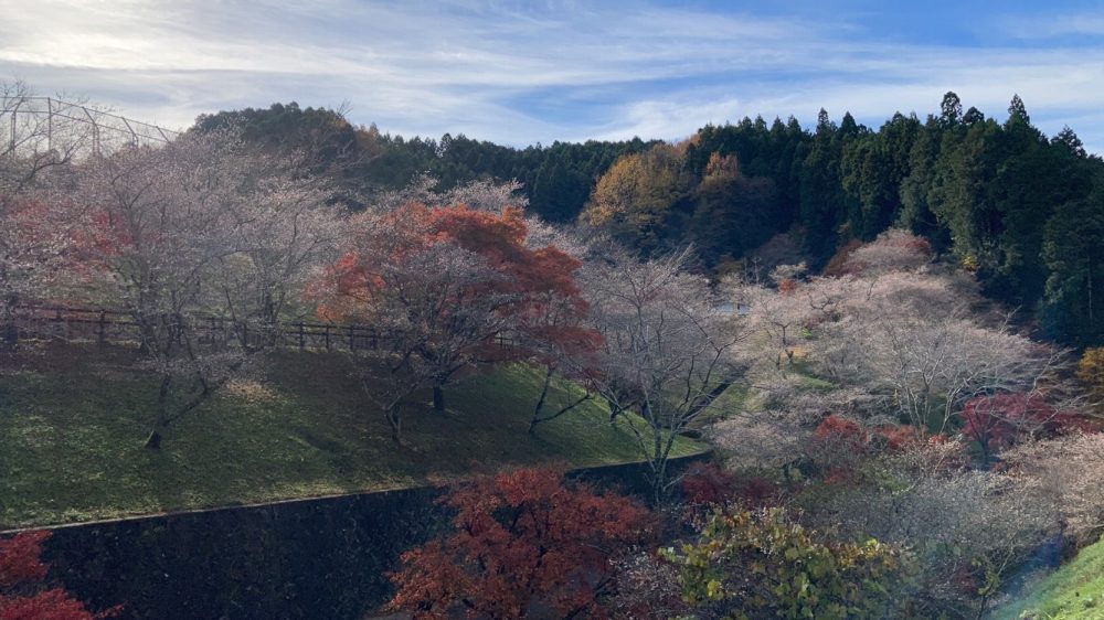 小原ふれあい公園