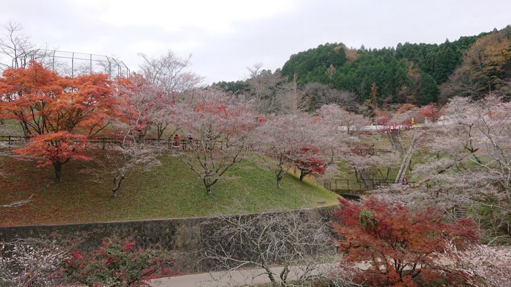 小原ふれあい公園