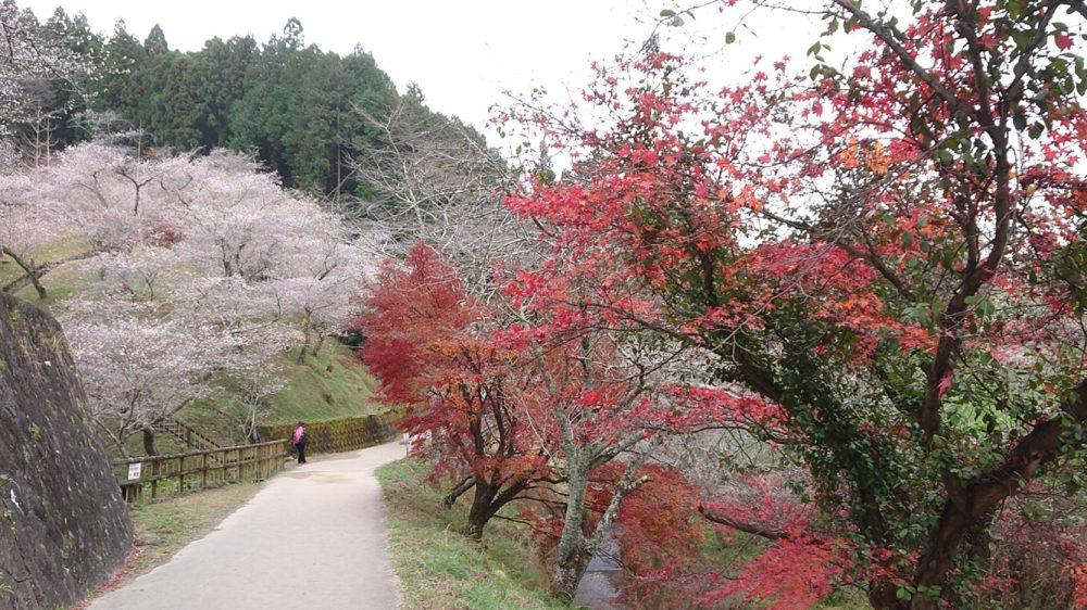 小原ふれあい公園