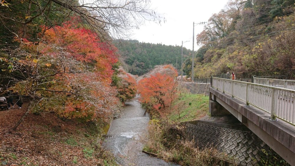 柿ヶ入り遊歩道