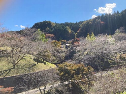 小原ふれあい公園