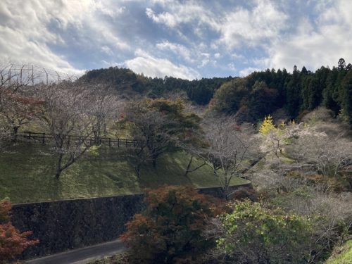 小原ふれあい公園