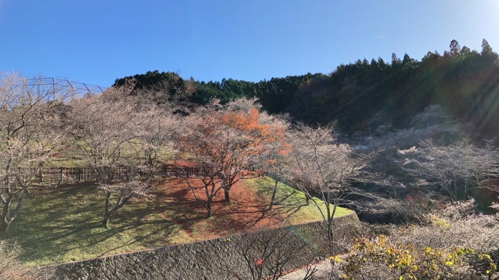 小原ふれあい公園