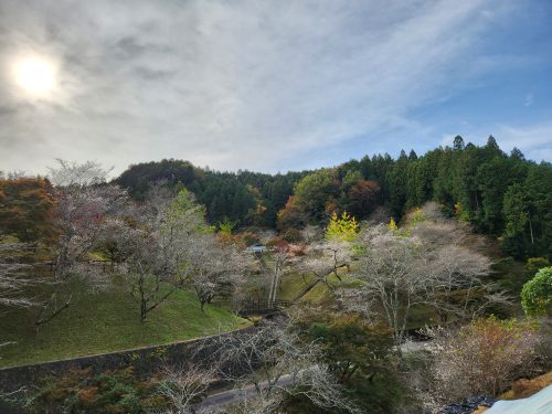 小原ふれあい公園