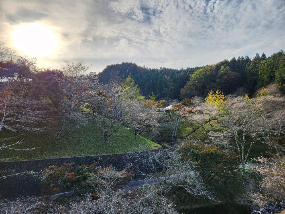 小原ふれあい公園