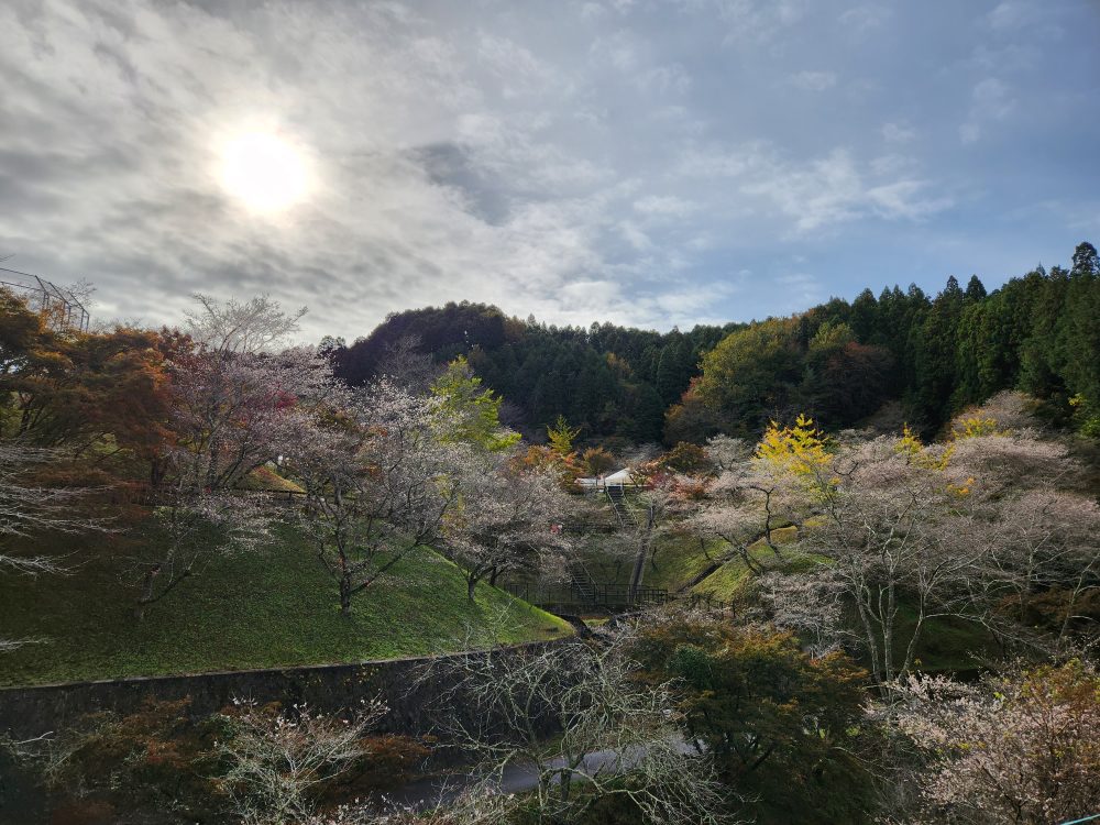 小原ふれあい公園