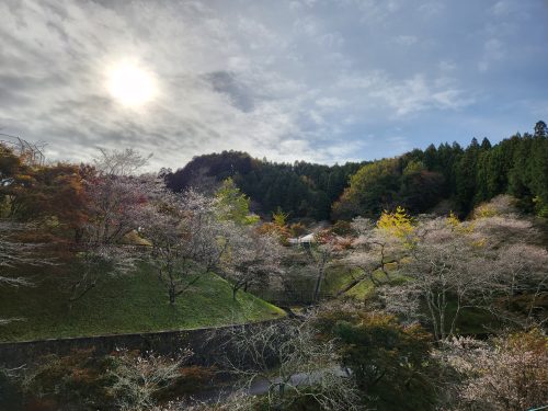 小原ふれあい公園