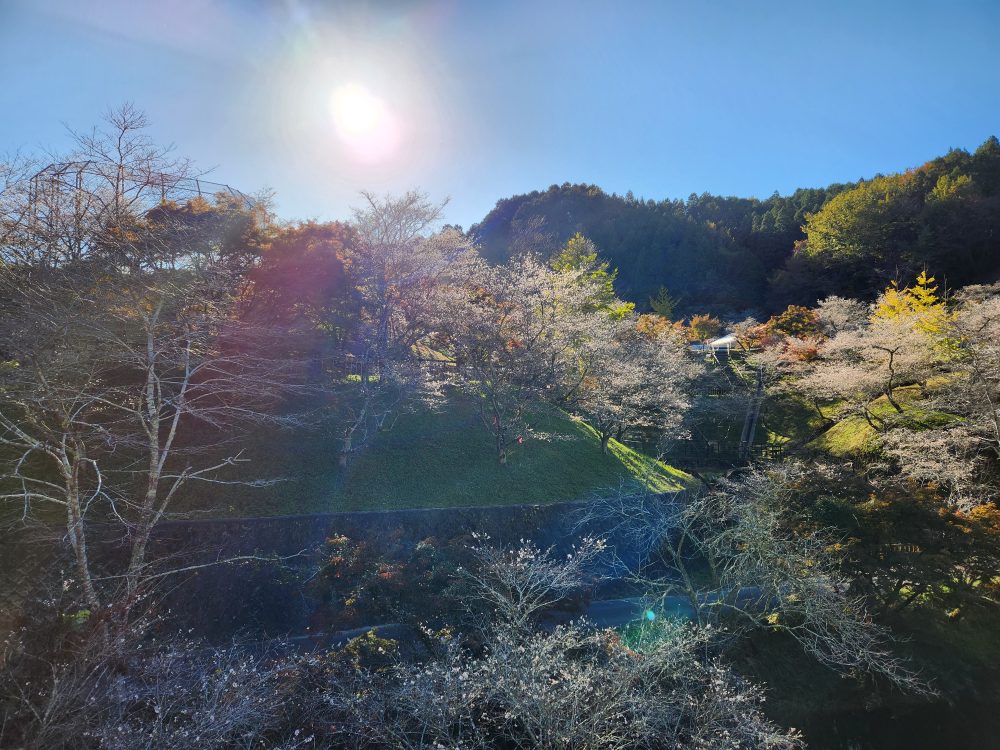 小原ふれあい公園