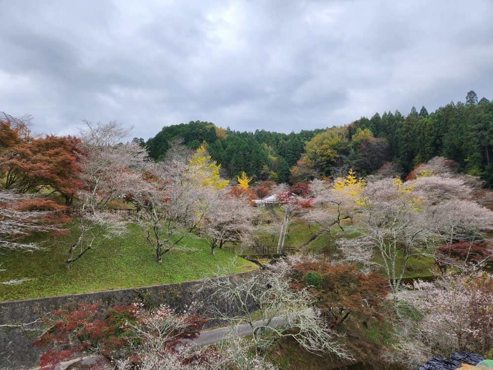 小原ふれあい公園