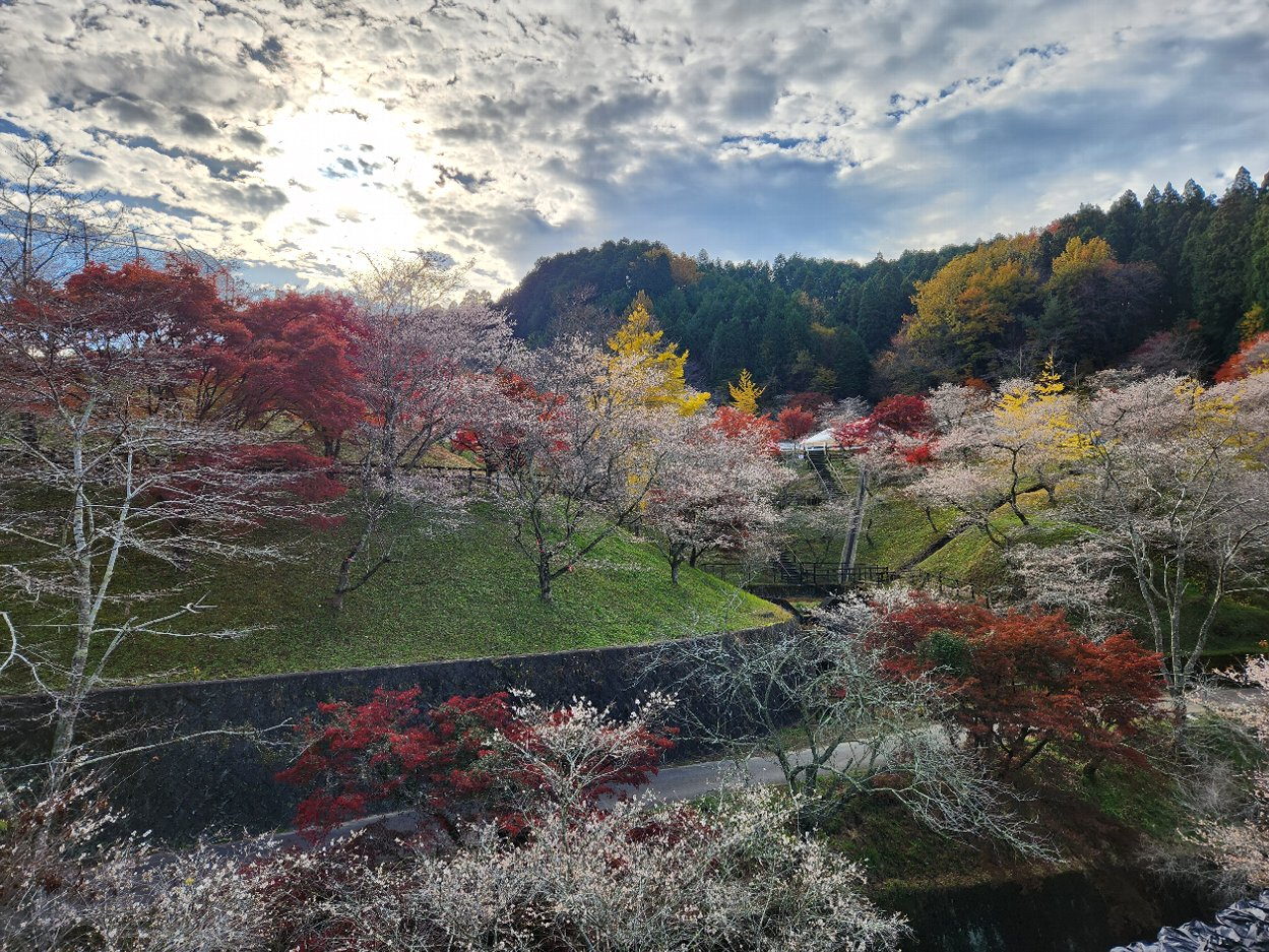 小原ふれあい公園