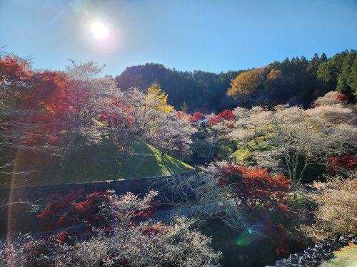 小原ふれあい公園