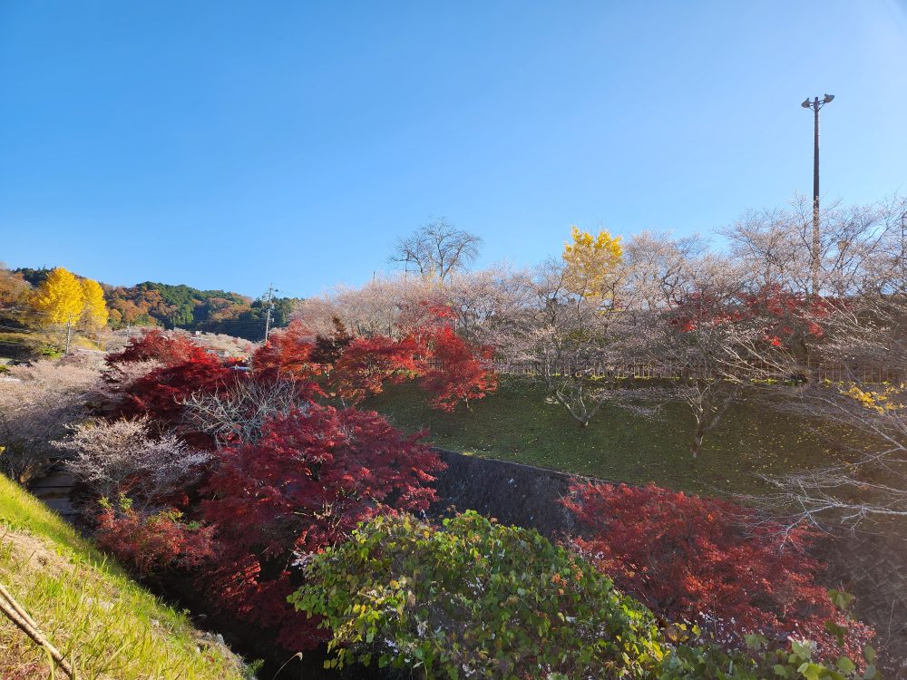 小原ふれあい公園