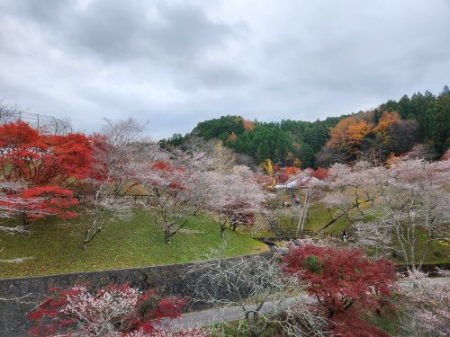 小原ふれあい公園