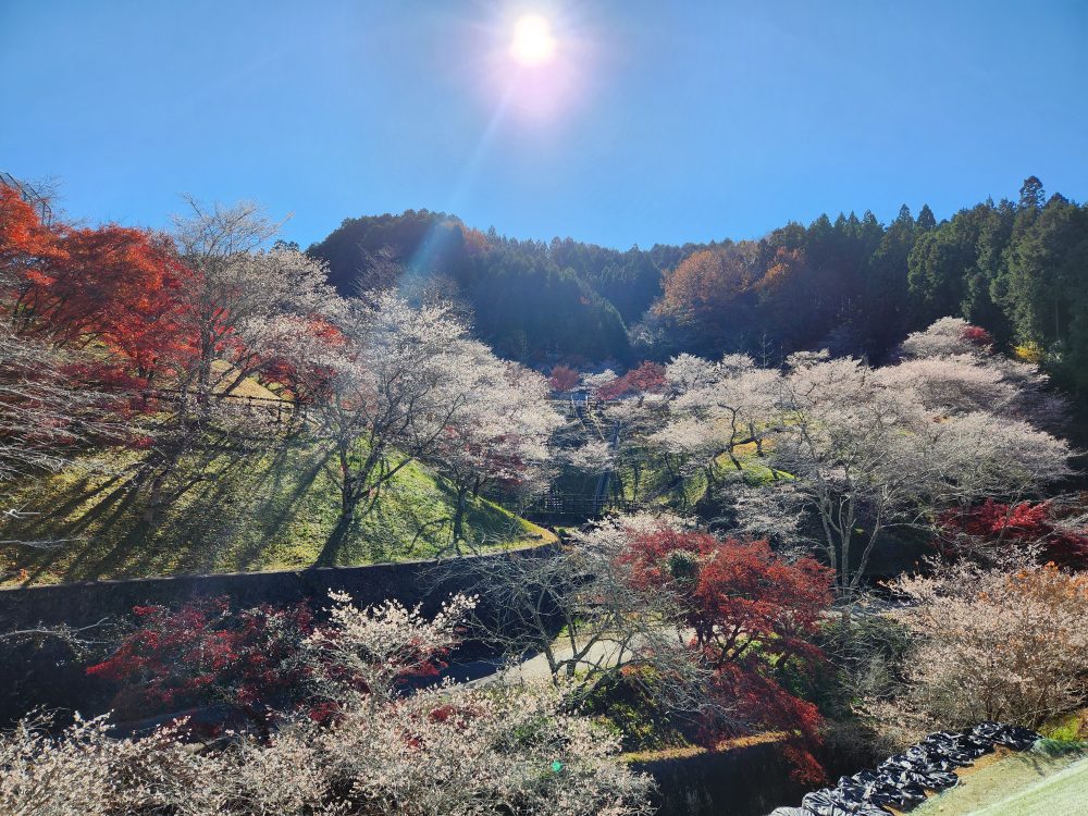 小原ふれあい公園