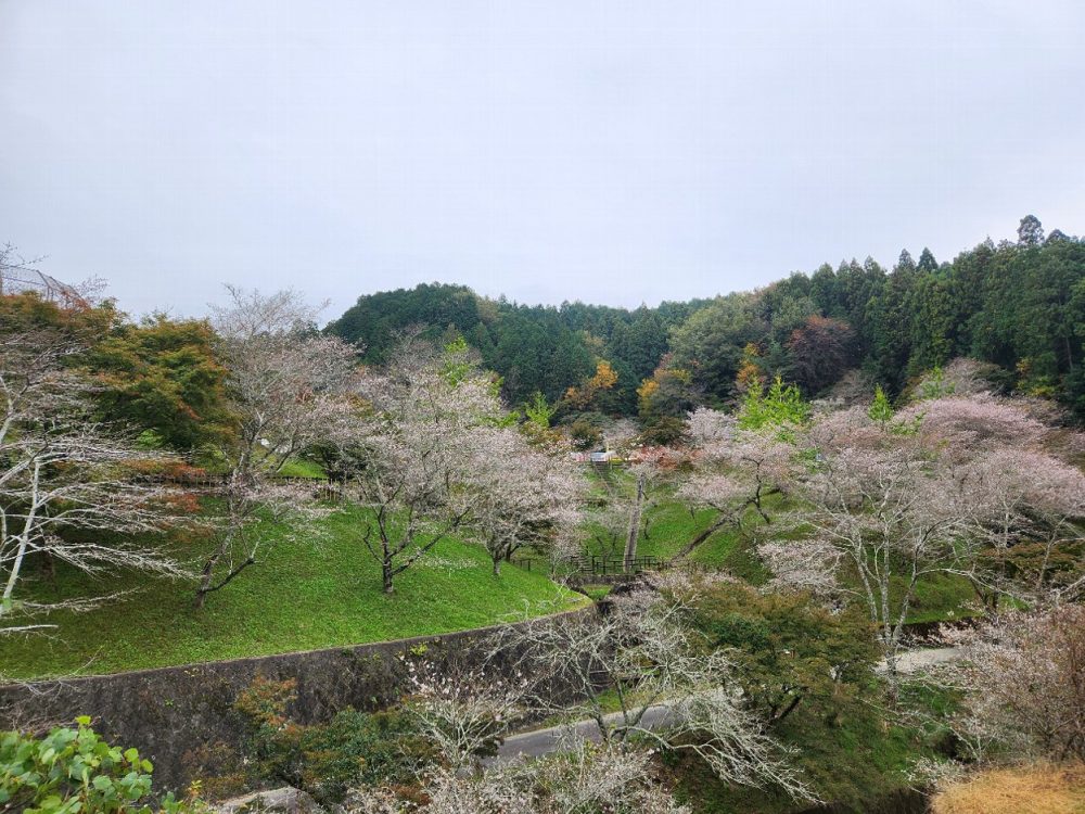 おばらふれあい公園