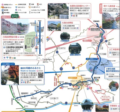 さくら山　散策出来ます