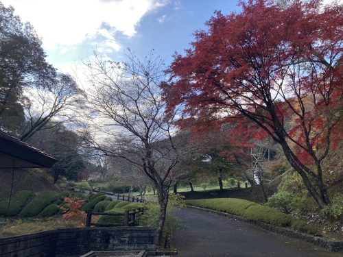 和紙のふるさと