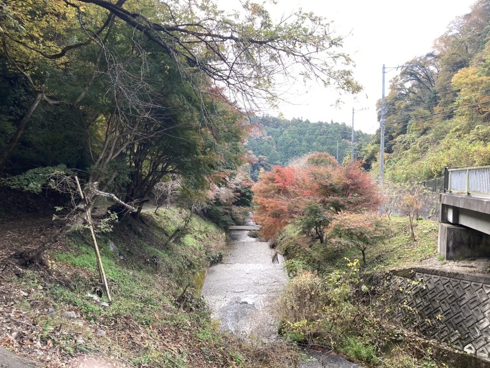 柿ヶ入り遊歩道