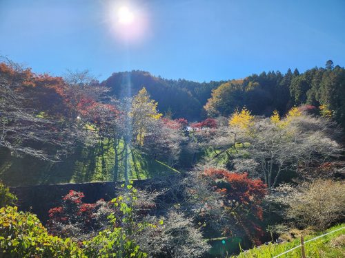 小原ふれあい公園