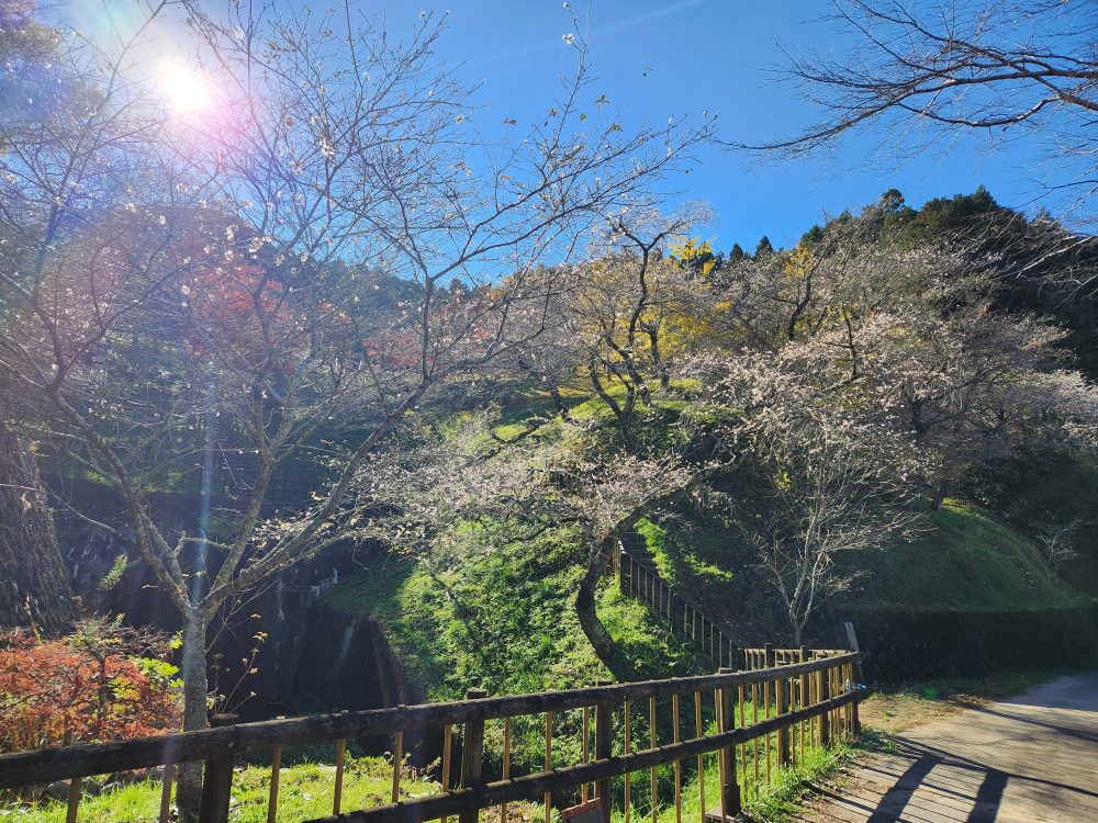 小原ふれあい公園