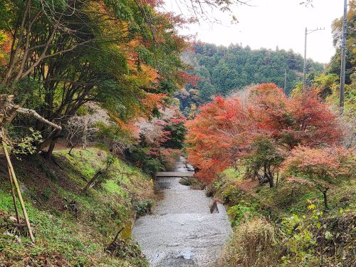 柿ヶ入り遊歩道