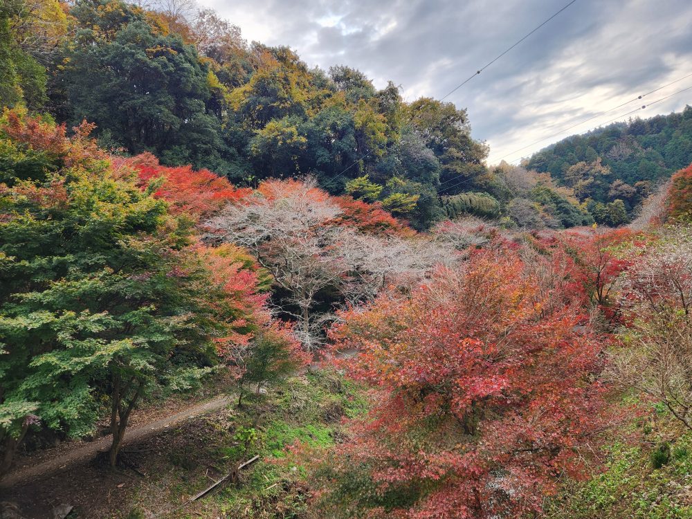 柿ヶ入り遊歩道