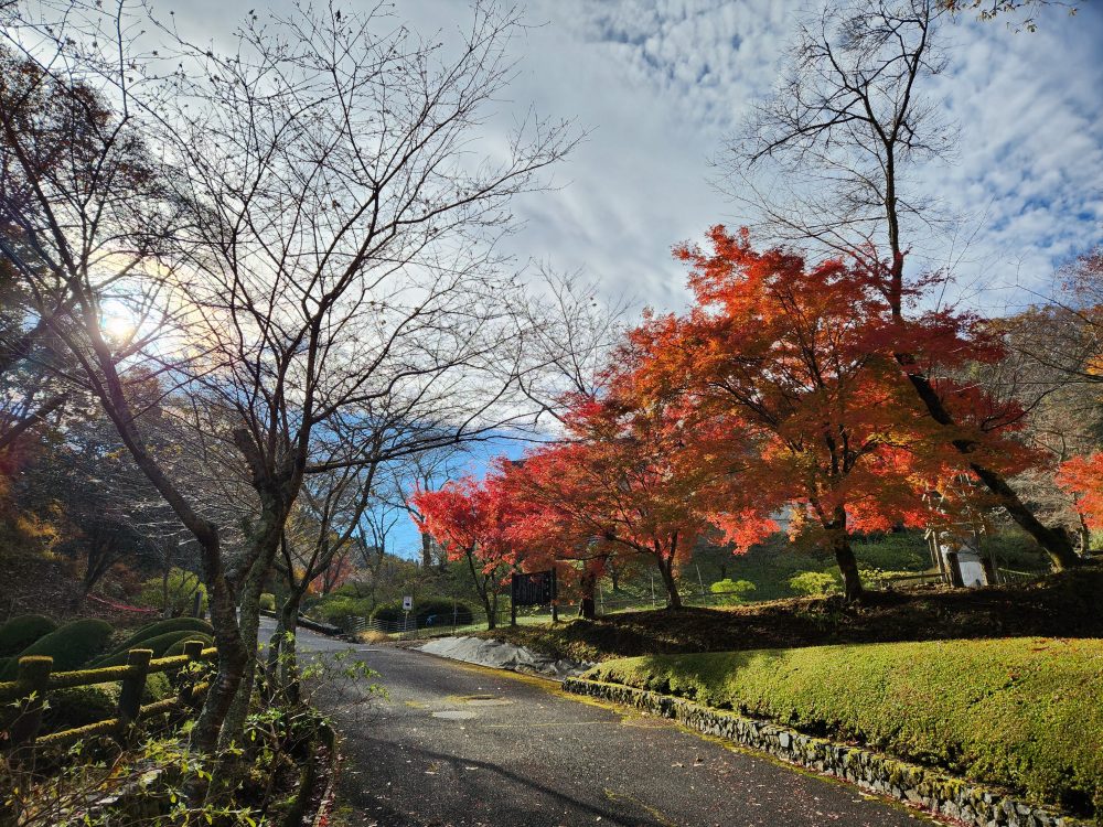 和紙のふるさと