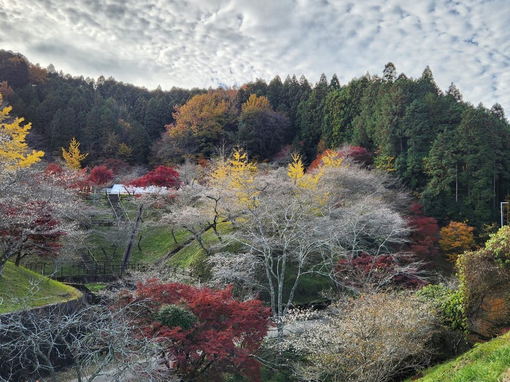 小原ふれあい公園