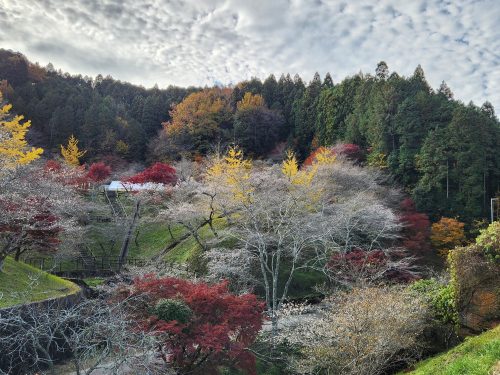 小原ふれあい公園