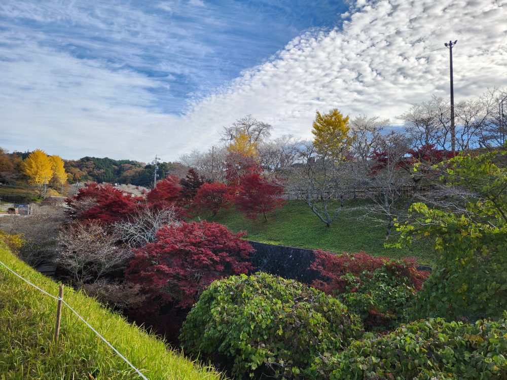 小原ふれあい公園
