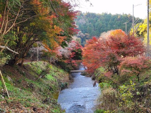 柿ヶ入り遊歩道