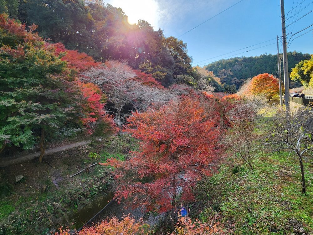 柿ヶ入り遊歩道