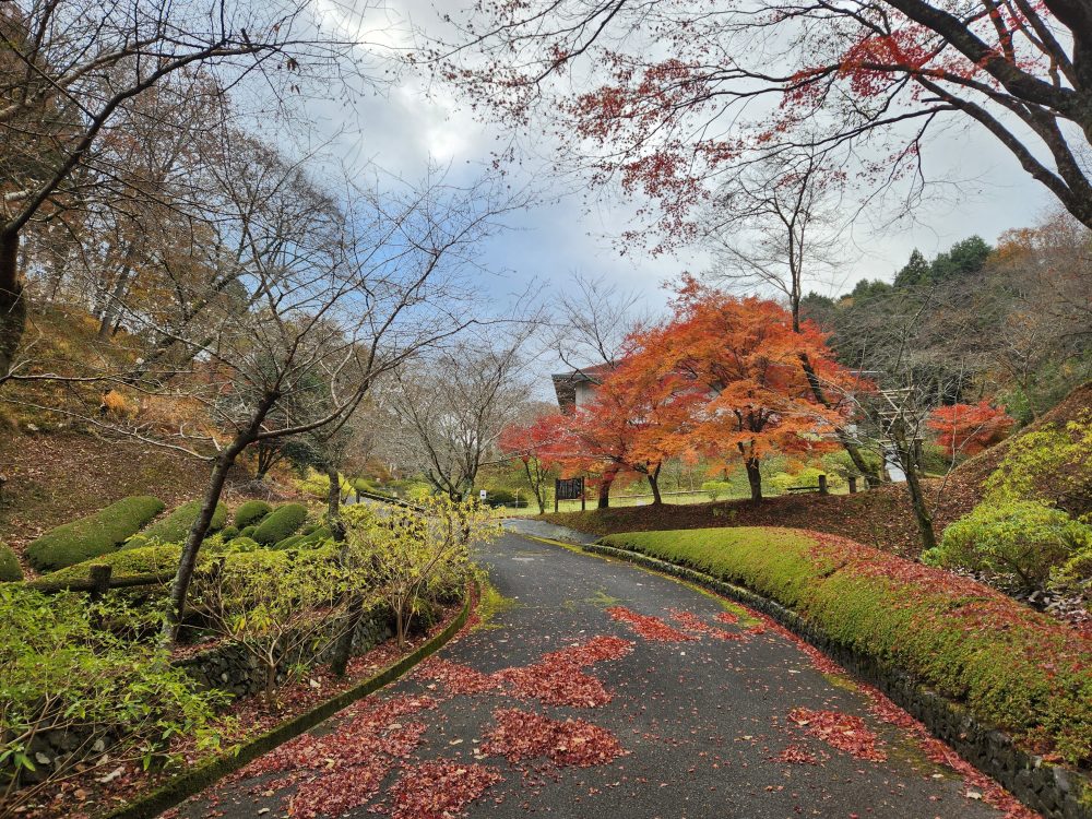 和紙のふるさと