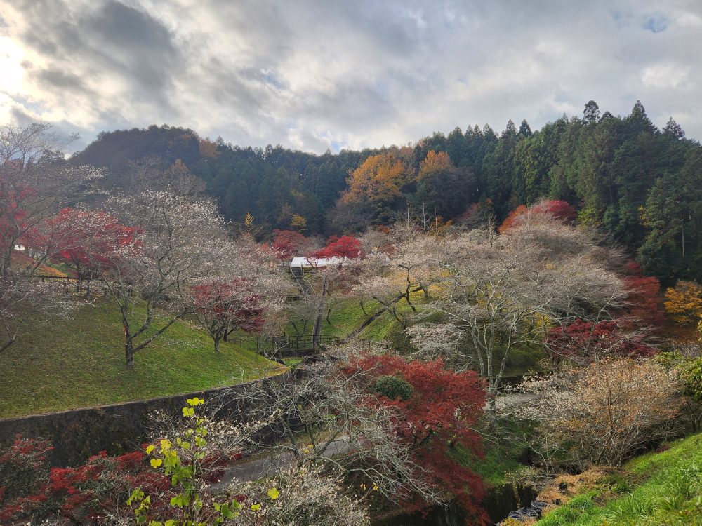 小原ふれあい公園