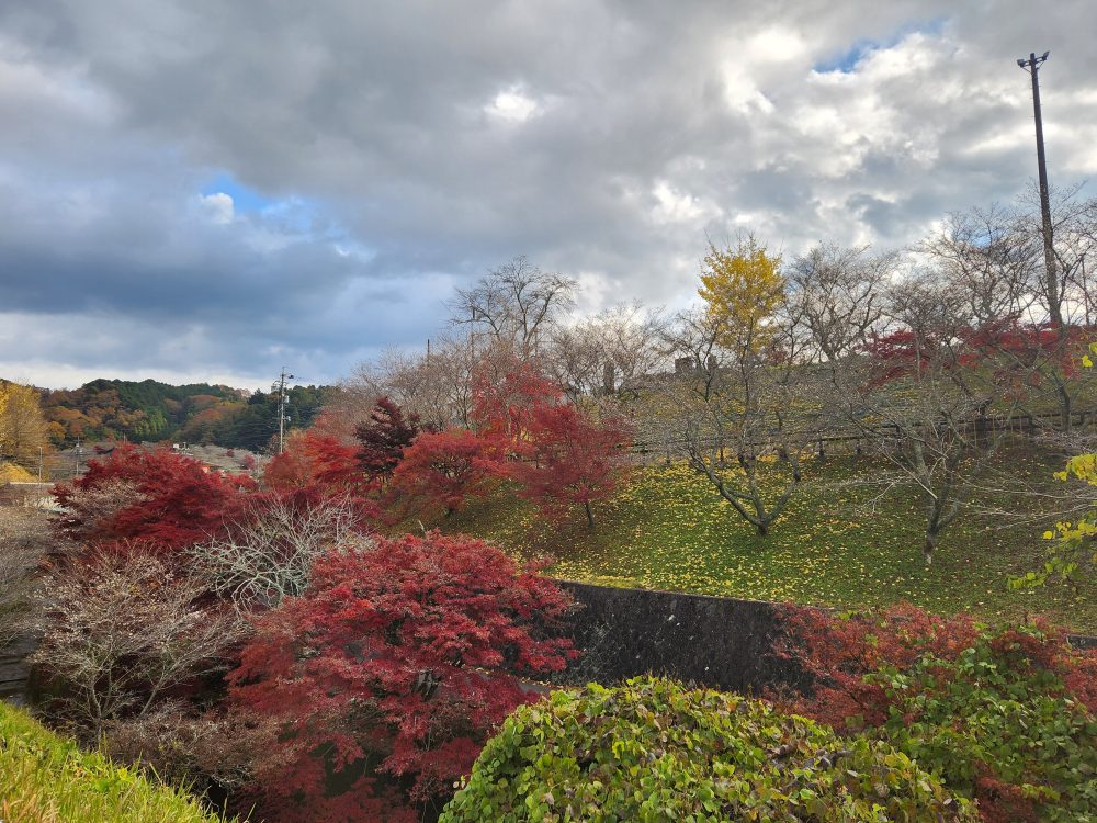 小原ふれあい公園