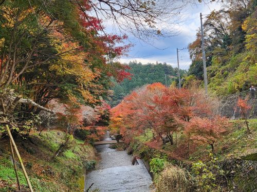 柿ヶ入り遊歩道