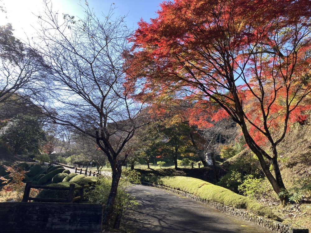 和紙のふるさと