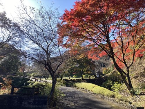 和紙のふるさと