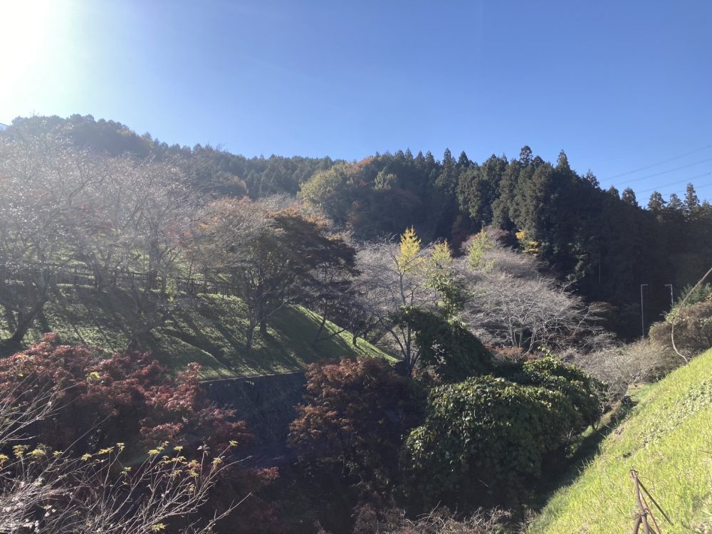 小原ふれあい公園