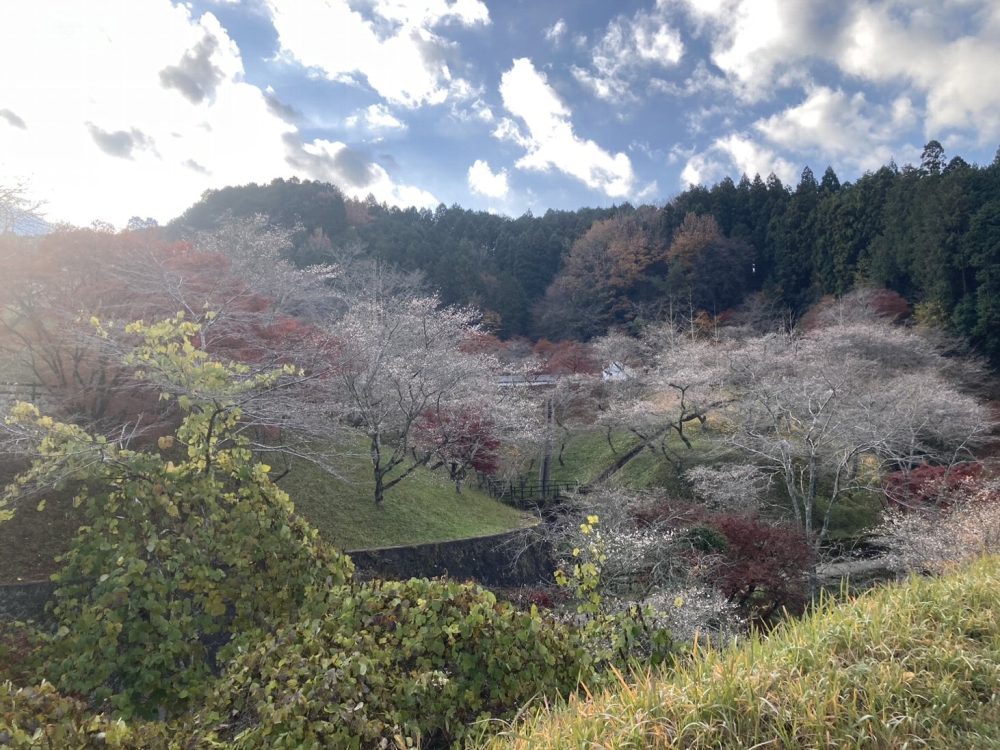 小原ふれあい公園