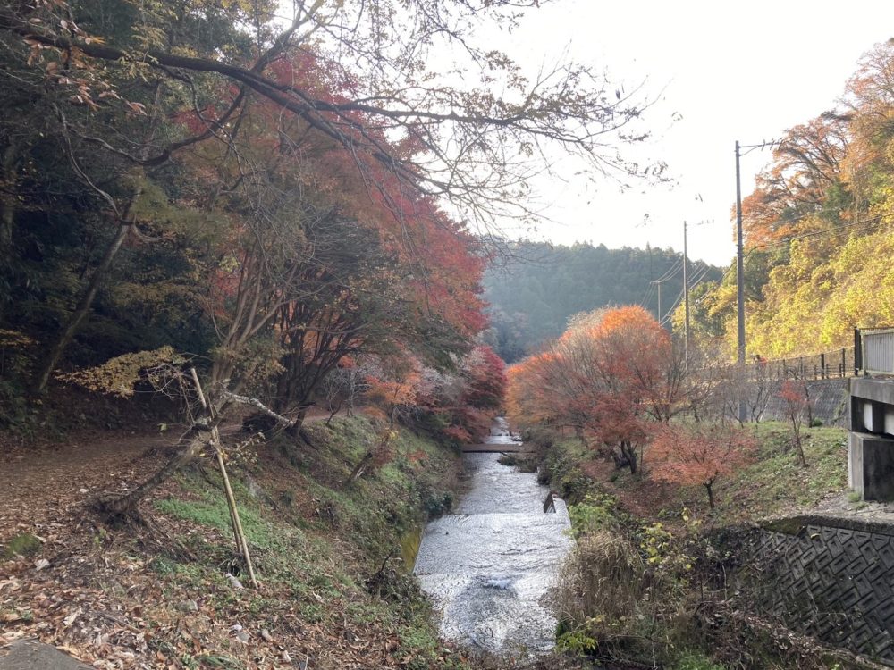 柿ヶ入り遊歩道